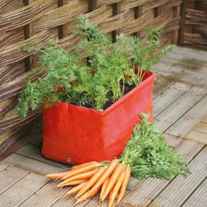 Carrot Patio Planter